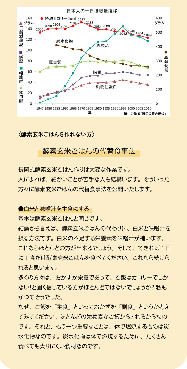 代替食事法
